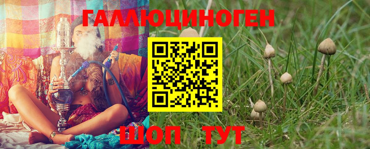 Галлюциногенные грибы мухоморы  Вход с VPN  Галлюциногенные грибы GOLDEN TEACHER  магазин    Саяногорск 