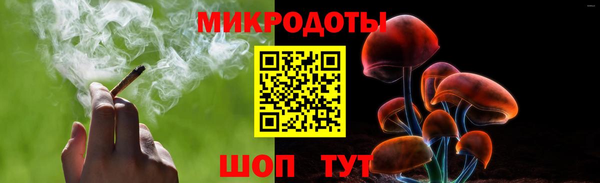 Псилоцибиновые грибы мицелий Саяногорск